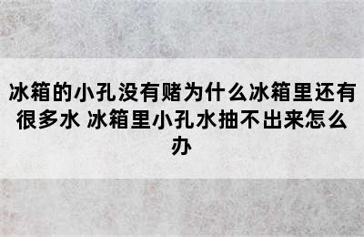 冰箱的小孔没有赌为什么冰箱里还有很多水 冰箱里小孔水抽不出来怎么办